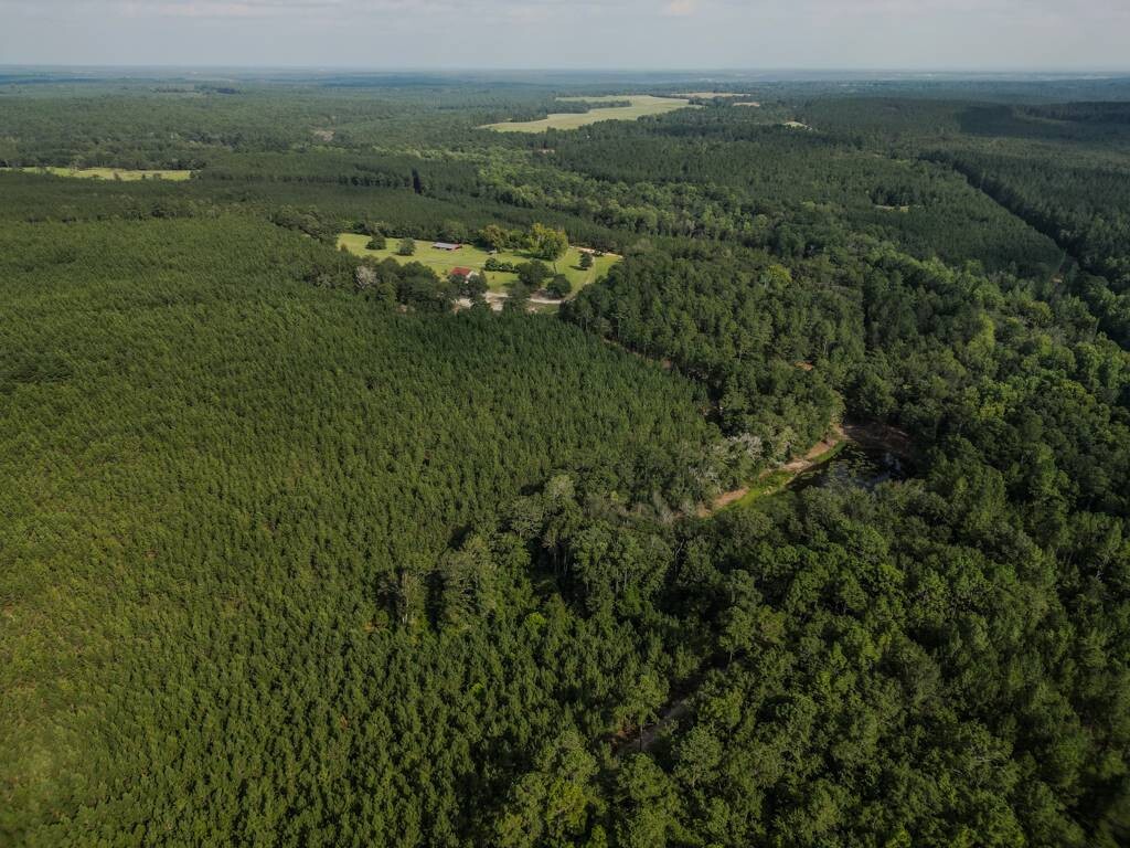 Land for Sale in Aiken County, SC (17 of 35)