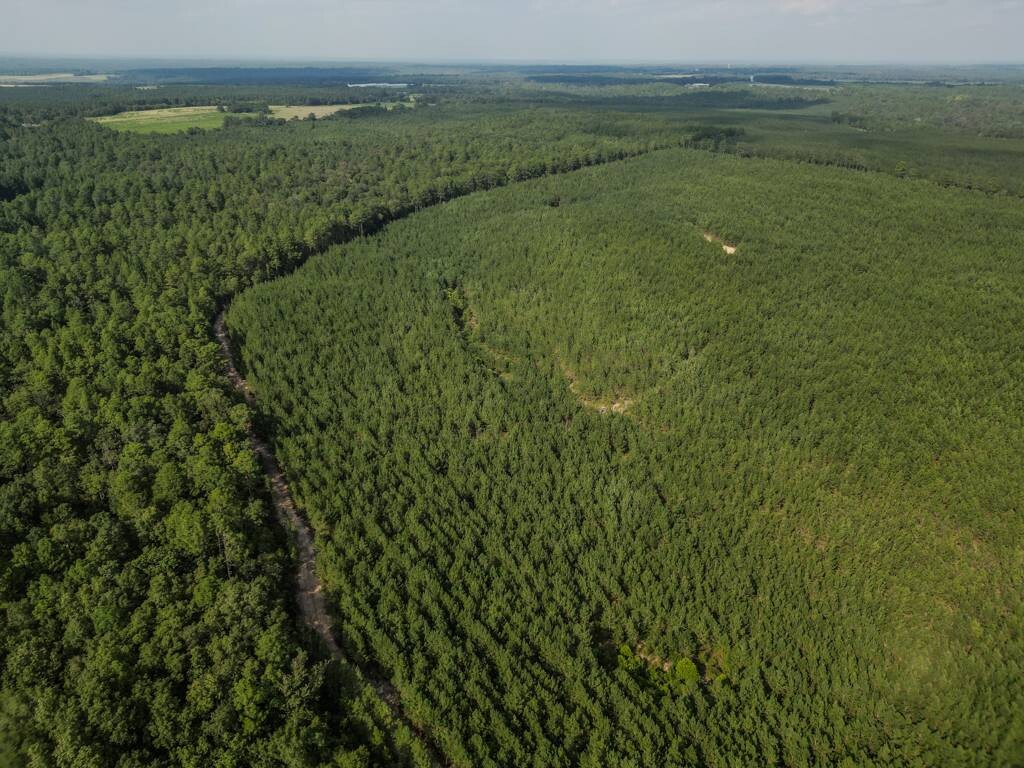 Land for Sale in Aiken County, SC (18 of 35)
