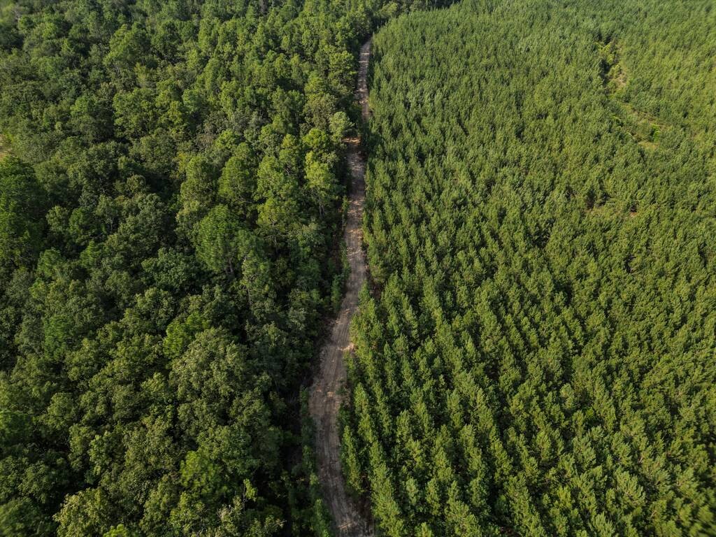 Land for Sale in Aiken County, SC (19 of 35)