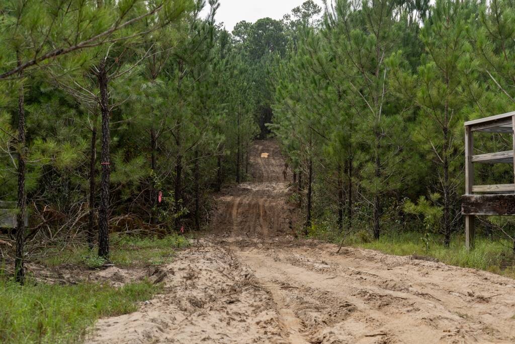 Land for Sale in Aiken County, SC (21 of 35)
