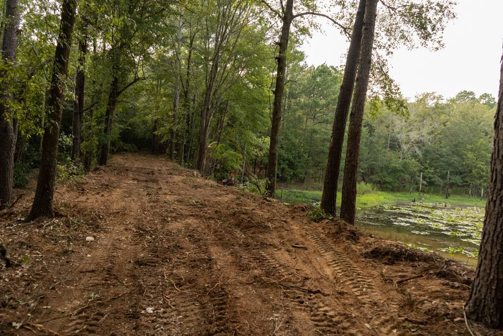 Land for Sale in Aiken County, SC (25 of 35)
