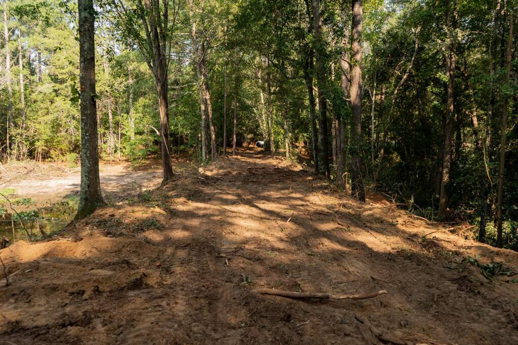 Land for Sale in Aiken County, SC (26 of 35)