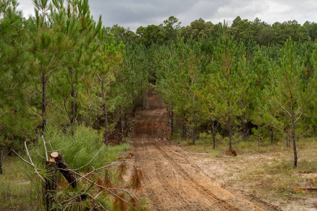 Land for Sale in Aiken County, SC (27 of 35)