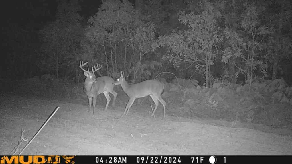 Land for Sale in Aiken County, SC (32 of 35)