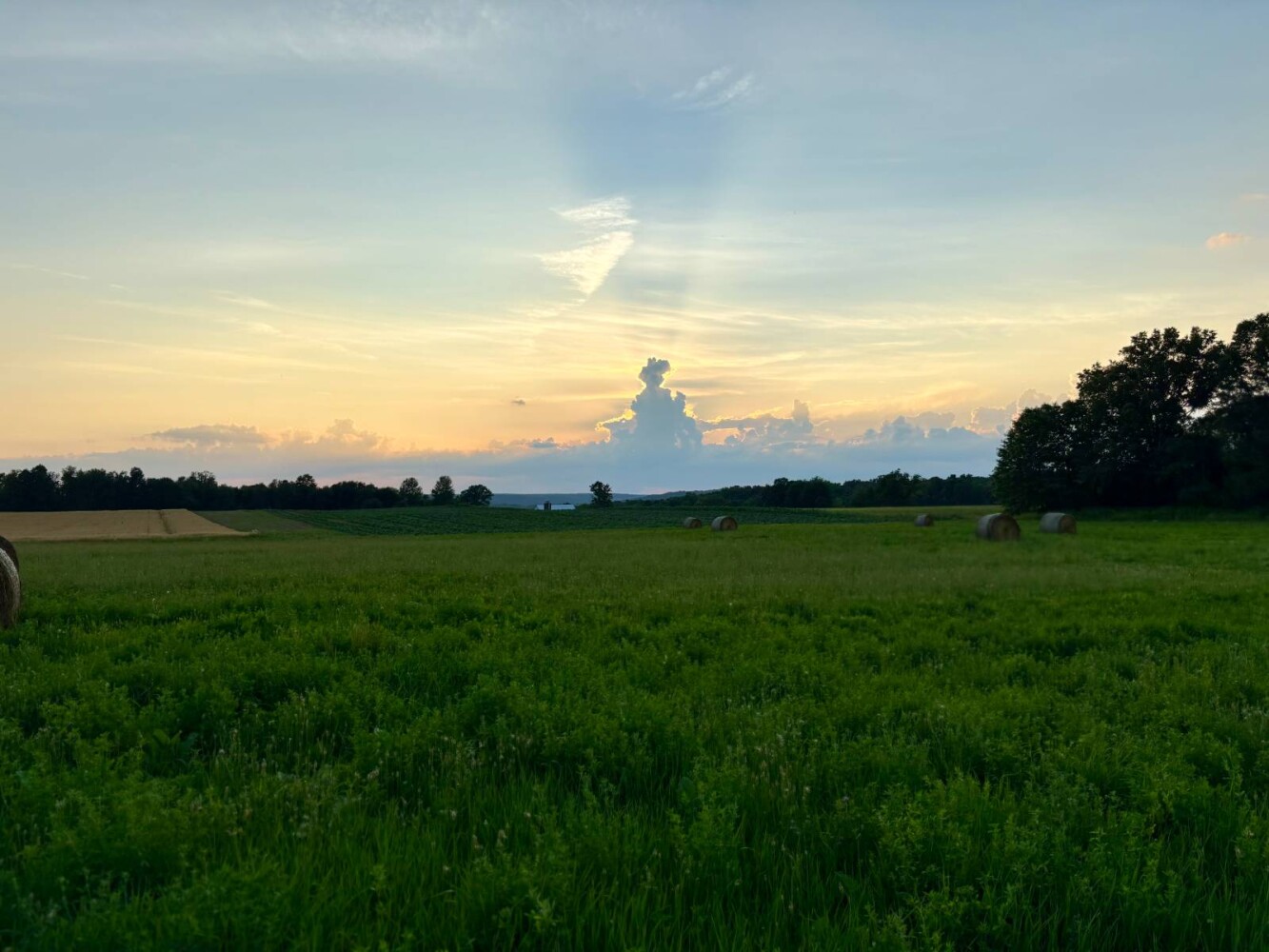 Land for Sale in Lawrence County, PA (4 of 24)