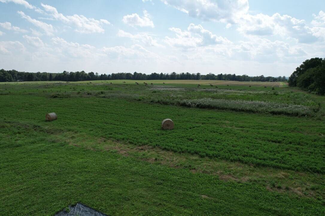 Land for Sale in Lawrence County, PA (11 of 24)