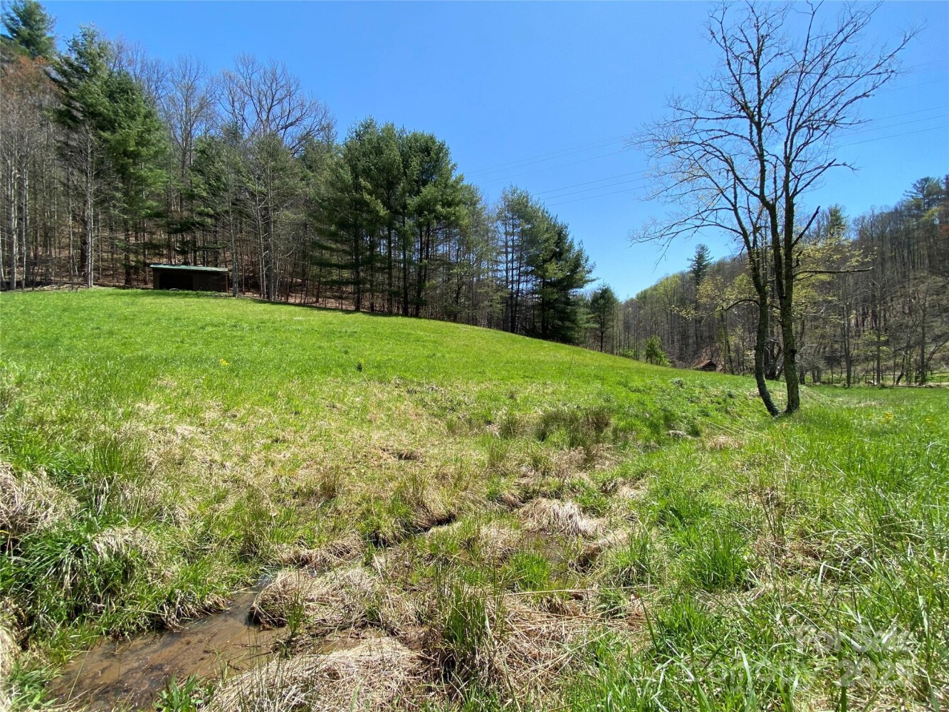 Land for Sale in Yancey County, NC (17 of 48)