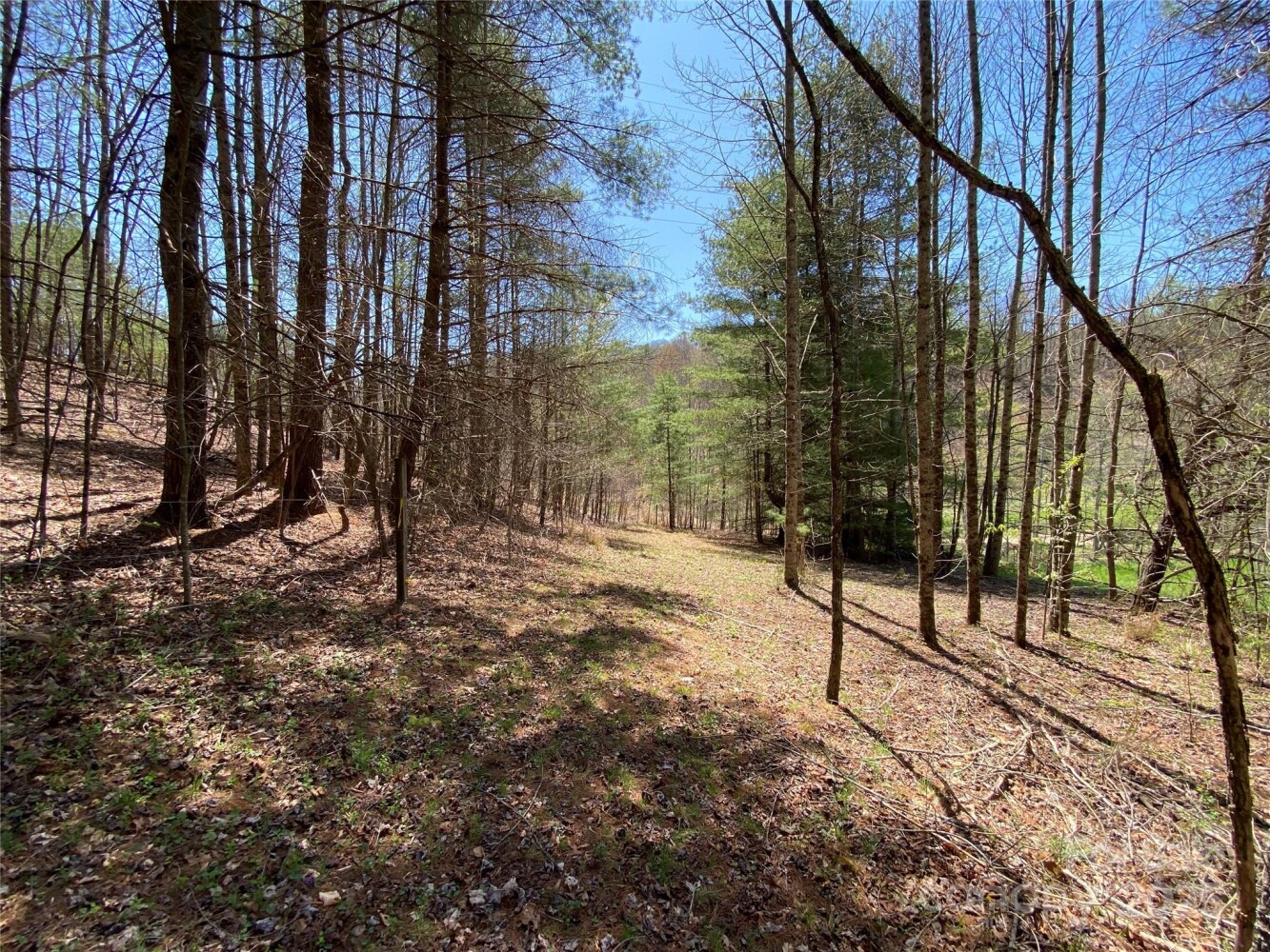 Land for Sale in Yancey County, NC (22 of 48)