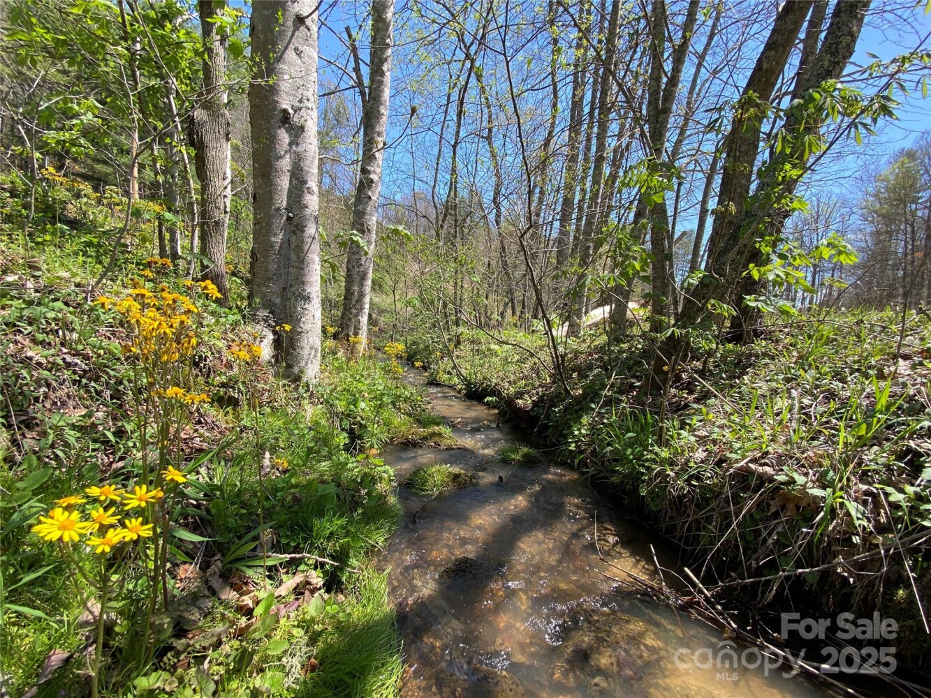 Land for Sale in Yancey County, NC (24 of 48)