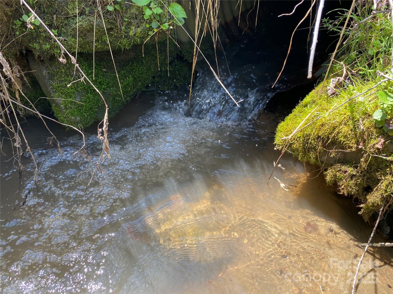 Land for Sale in Yancey County, NC (25 of 48)