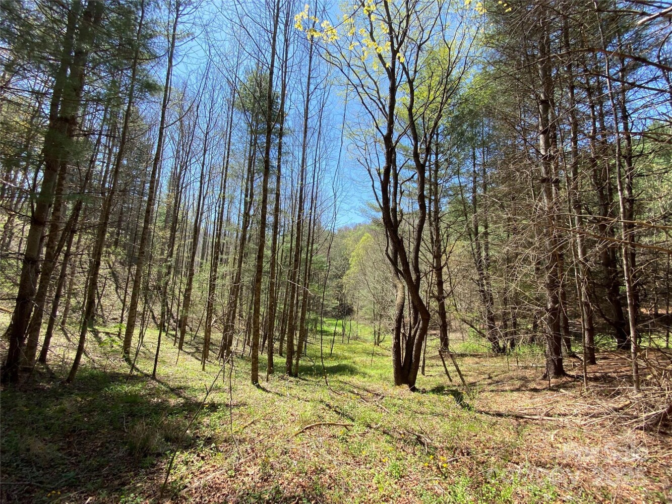 Land for Sale in Yancey County, NC (26 of 48)