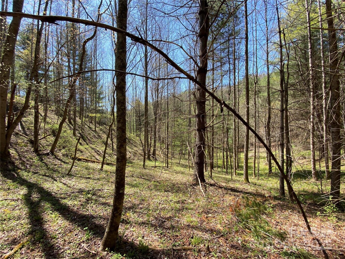Land for Sale in Yancey County, NC (27 of 48)