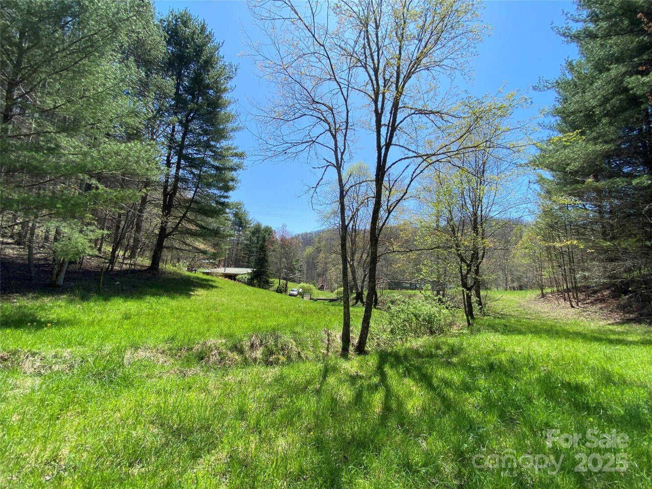 Land for Sale in Yancey County, NC (28 of 48)