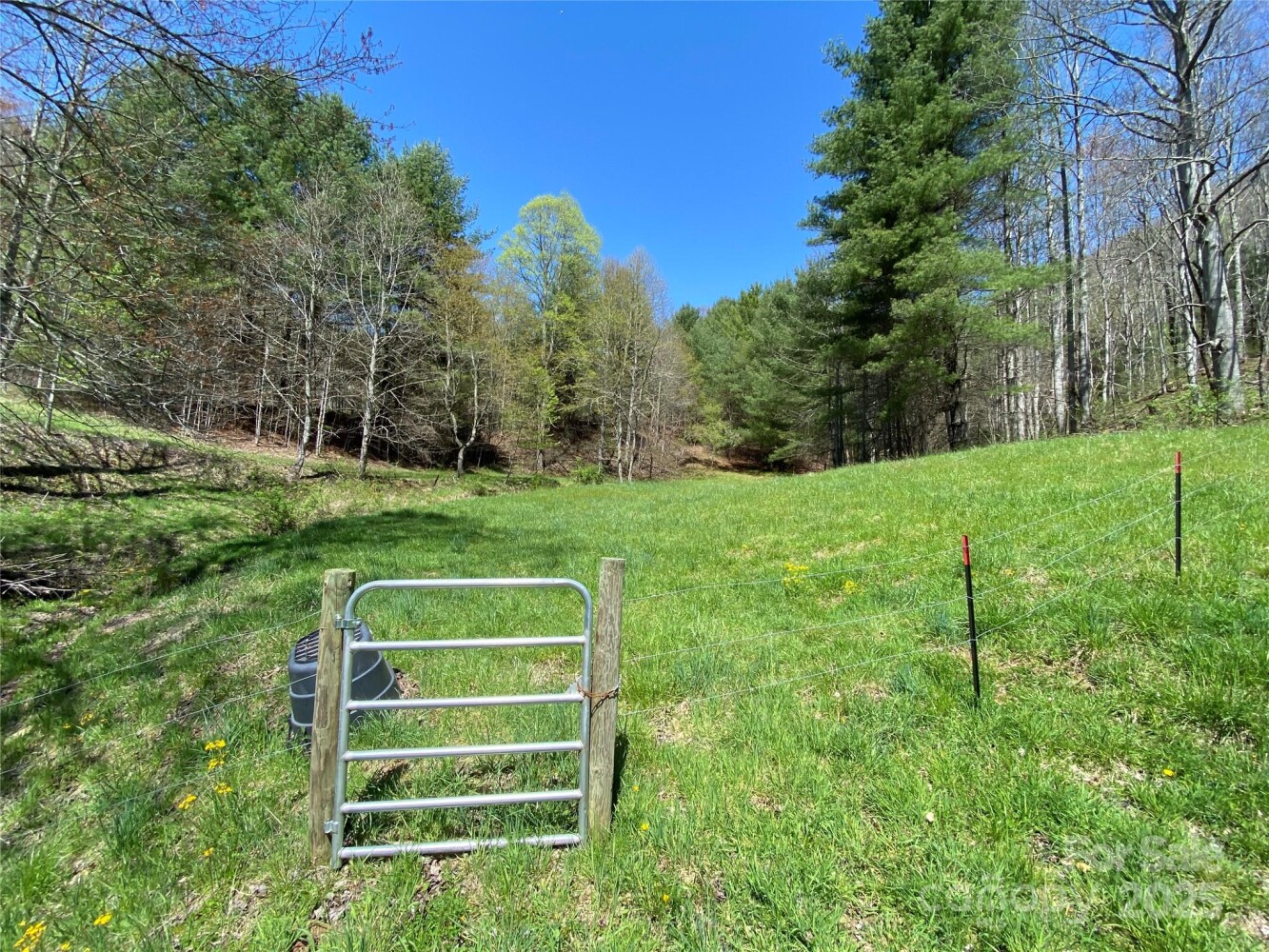 Land for Sale in Yancey County, NC (29 of 48)