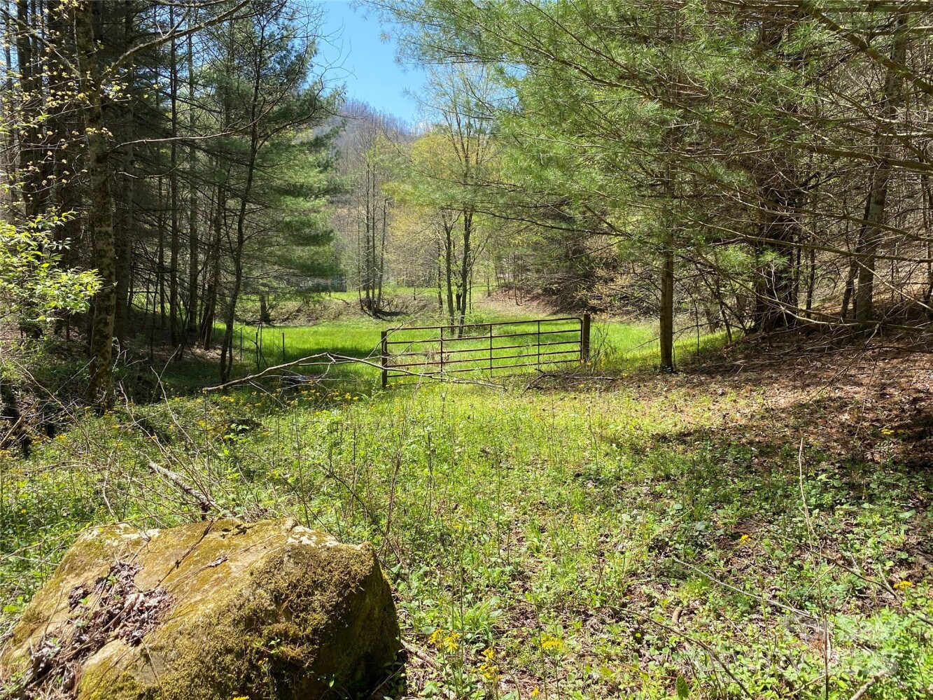 Land for Sale in Yancey County, NC (31 of 48)