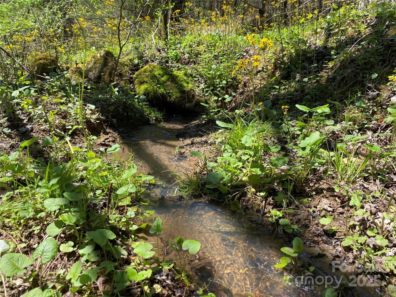 Land for Sale in Yancey County, NC (32 of 48)