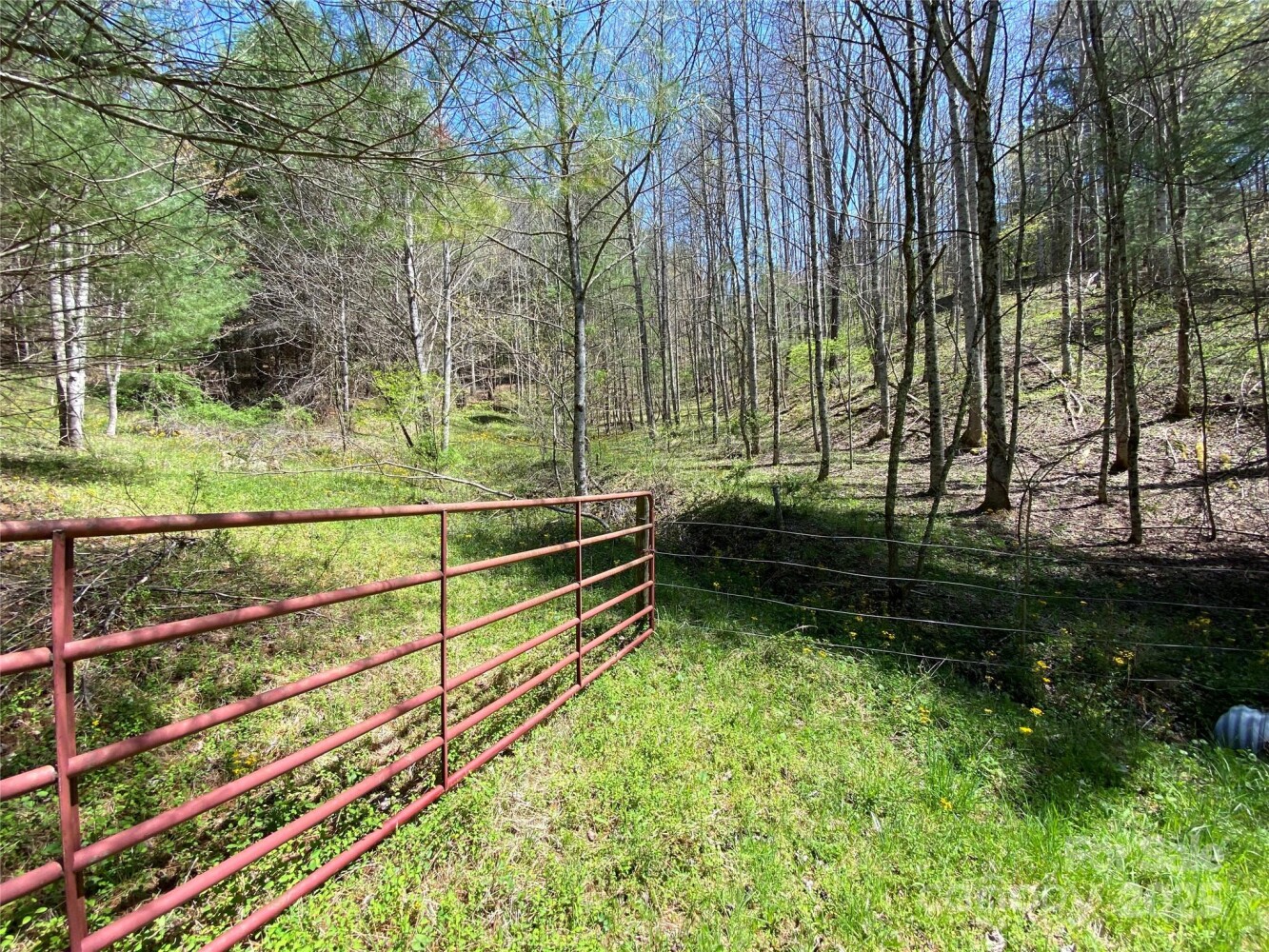 Land for Sale in Yancey County, NC (34 of 48)