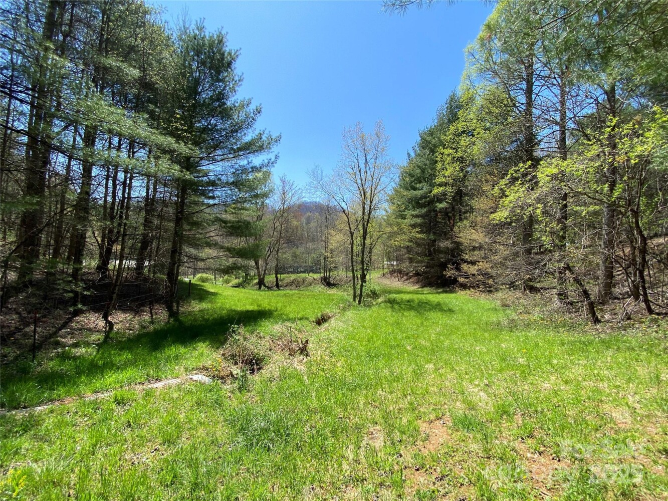 Land for Sale in Yancey County, NC (35 of 48)