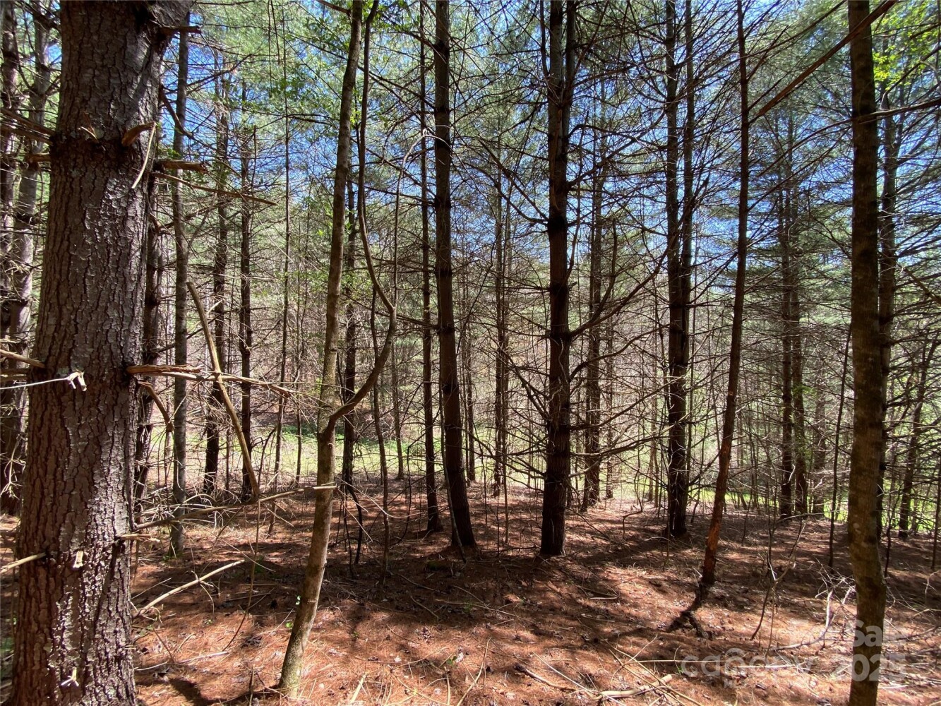 Land for Sale in Yancey County, NC (36 of 48)