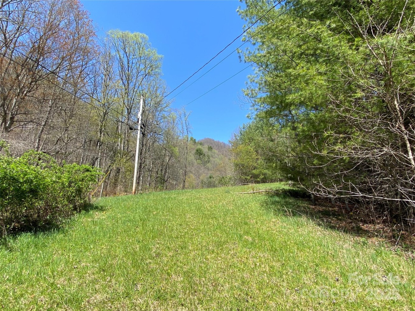 Land for Sale in Yancey County, NC (38 of 48)