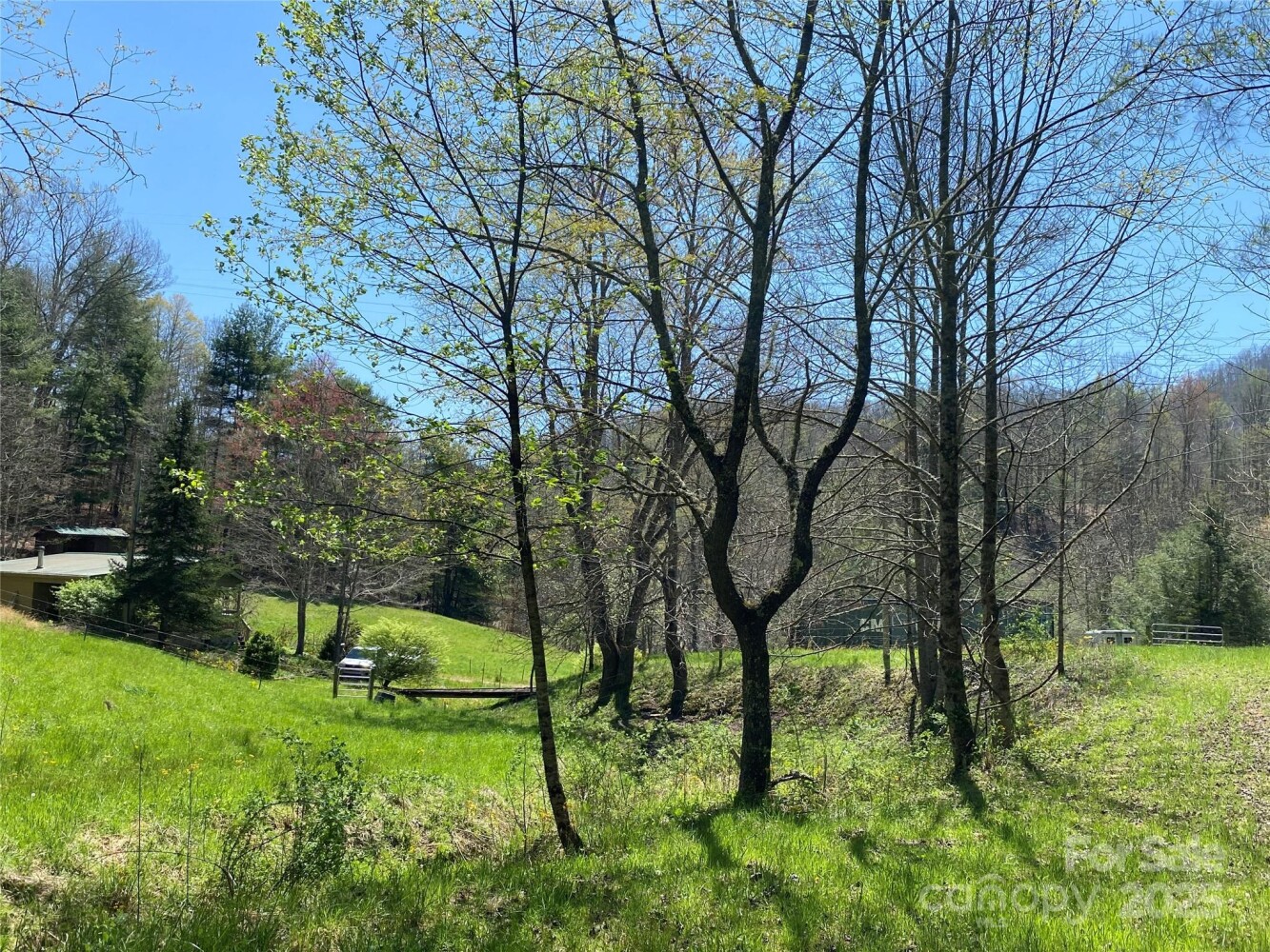 Land for Sale in Yancey County, NC (39 of 48)