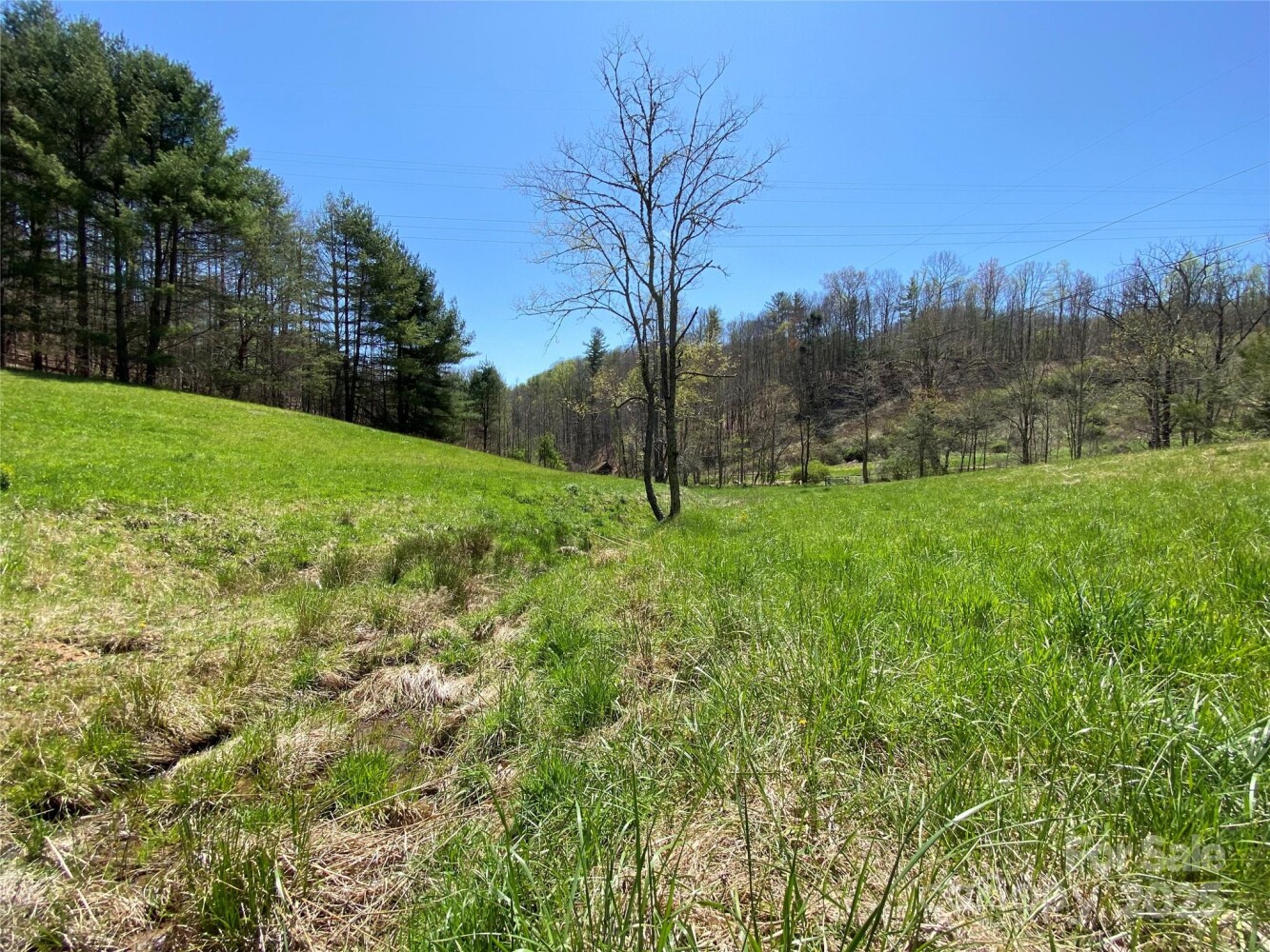 Land for Sale in Yancey County, NC (41 of 48)