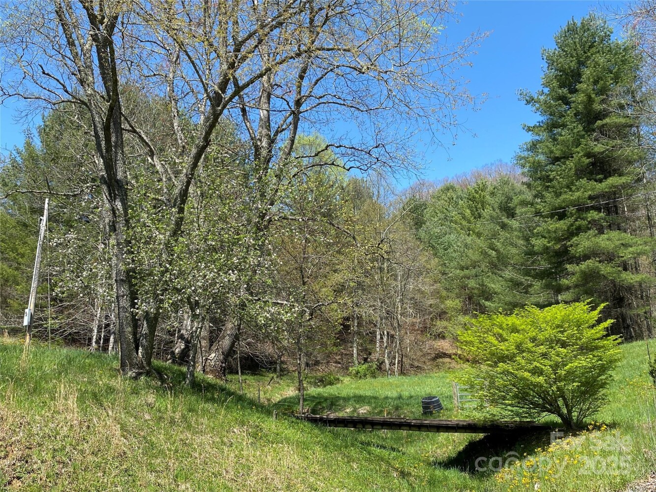 Land for Sale in Yancey County, NC (42 of 48)