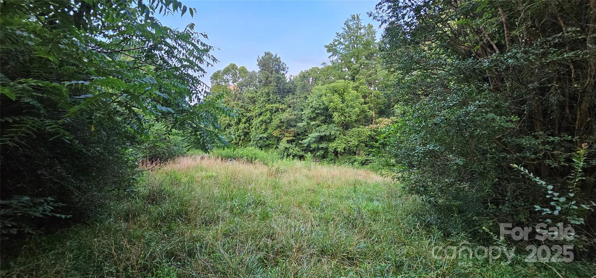 Land for Sale in Rutherford County, NC (2 of 12)