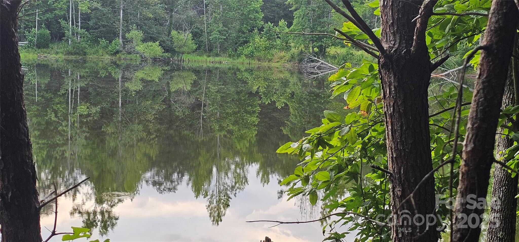 Land for Sale in Rutherford County, NC (5 of 12)