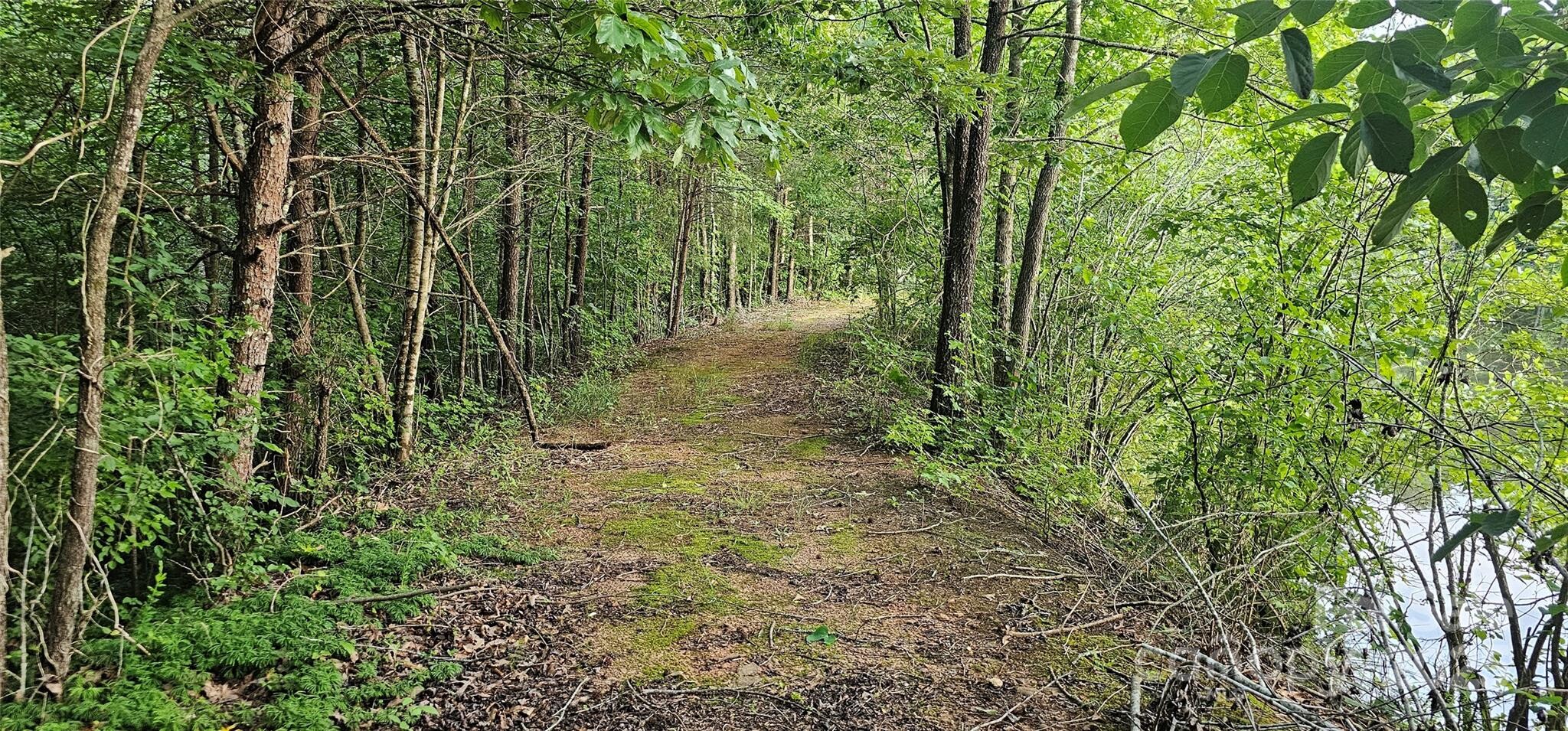 Land for Sale in Rutherford County, NC (6 of 12)