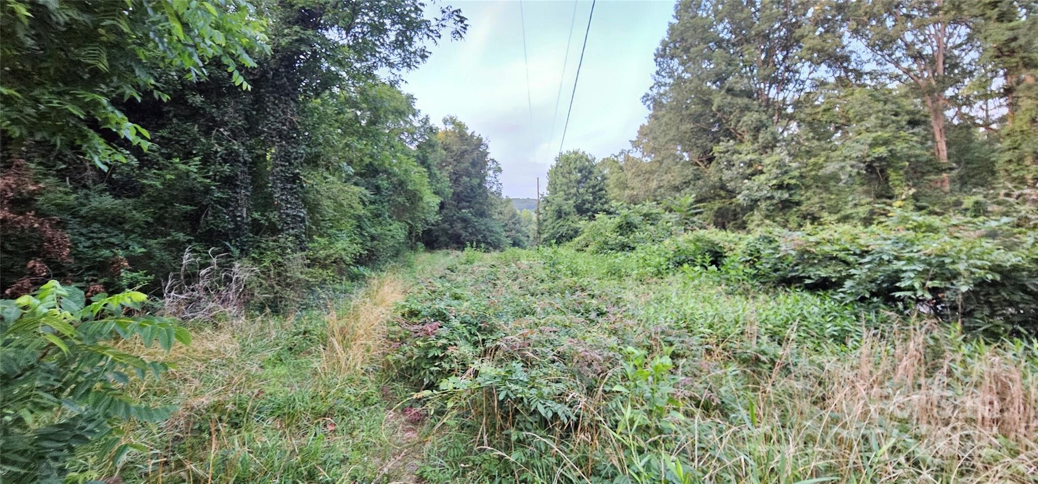 Land for Sale in Rutherford County, NC (8 of 12)