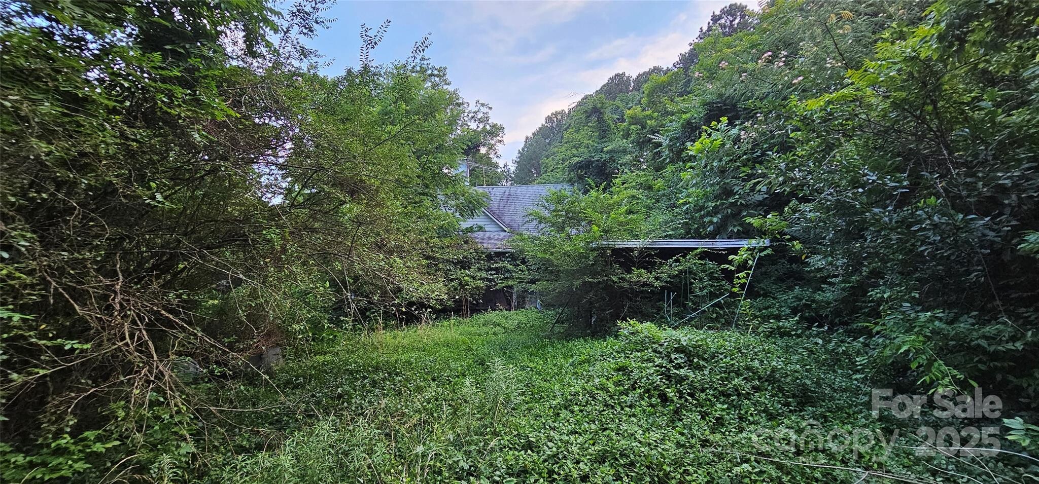 Land for Sale in Rutherford County, NC (10 of 12)
