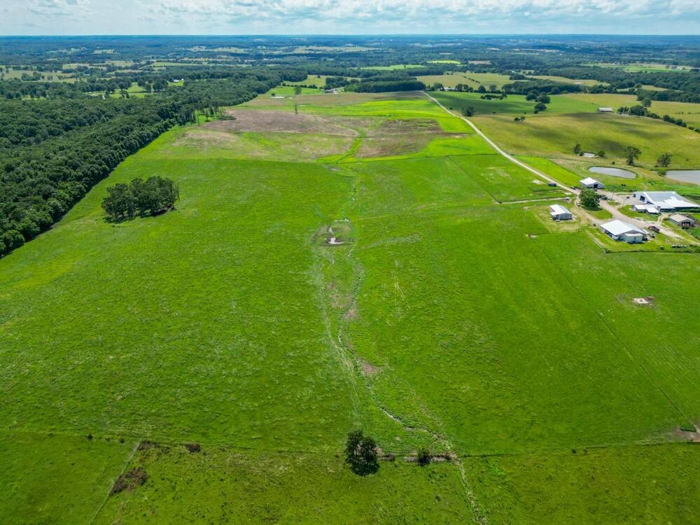 Land for Sale in Laclede County, MO (28 of 31)