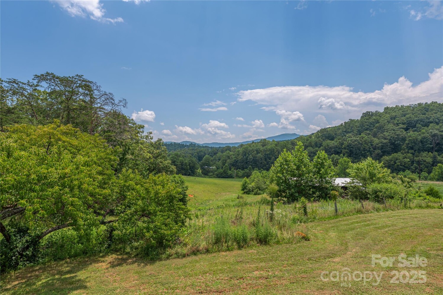 Land for Sale in McDowell County, NC (3 of 48)