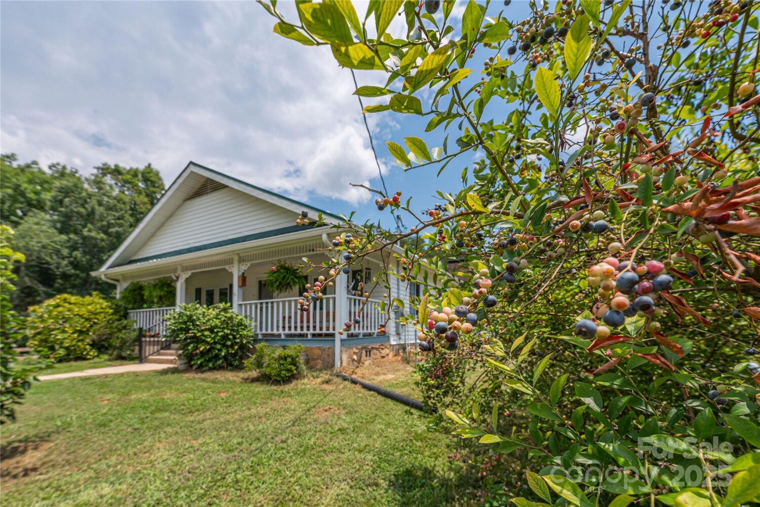 Land for Sale in McDowell County, NC (29 of 48)