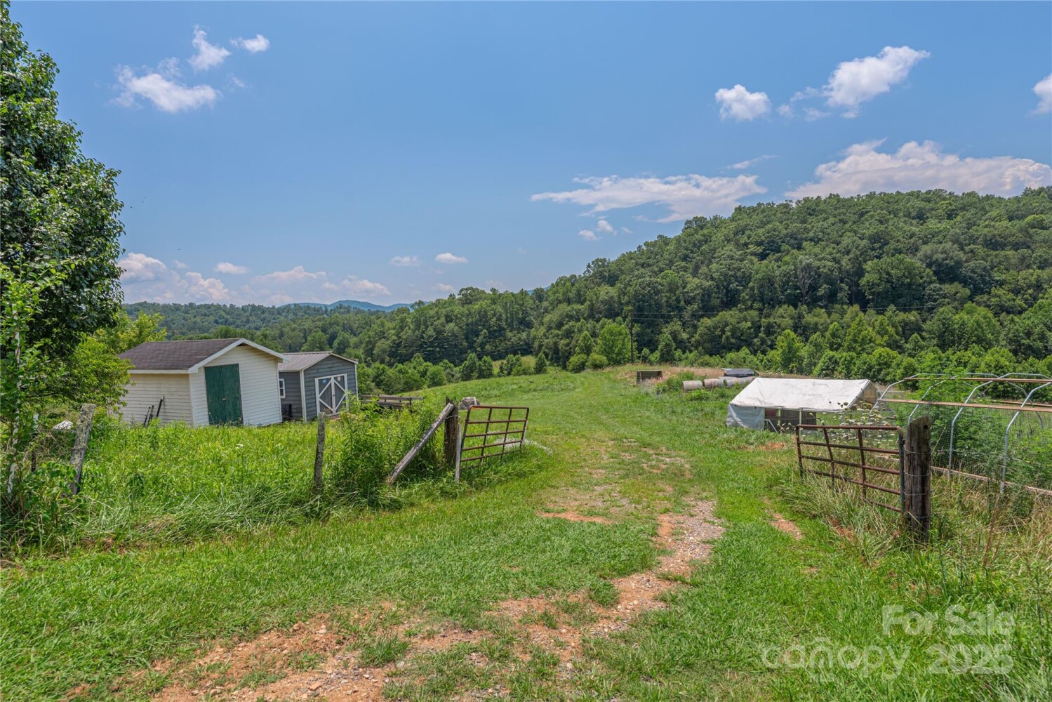 Land for Sale in McDowell County, NC (30 of 48)