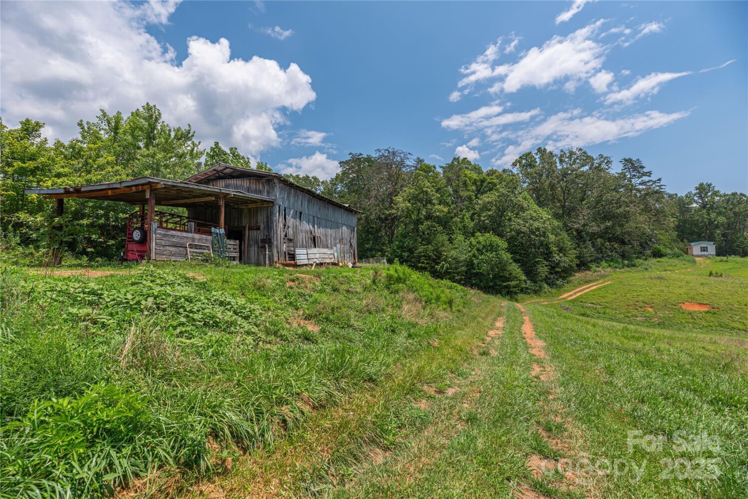 Land for Sale in McDowell County, NC (31 of 48)