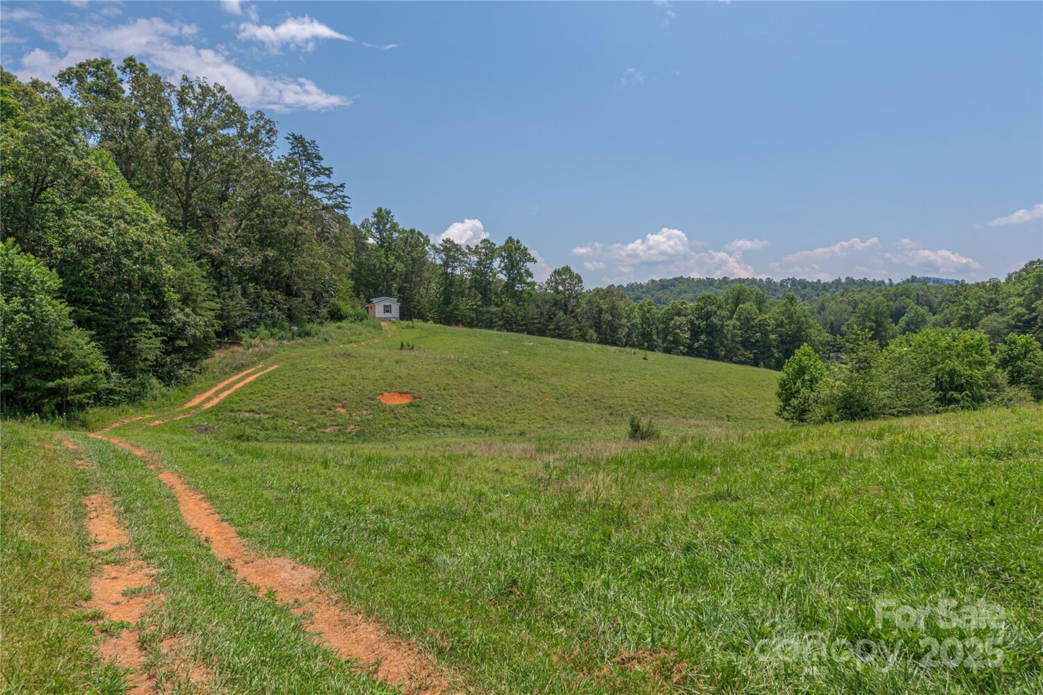 Land for Sale in McDowell County, NC (32 of 48)