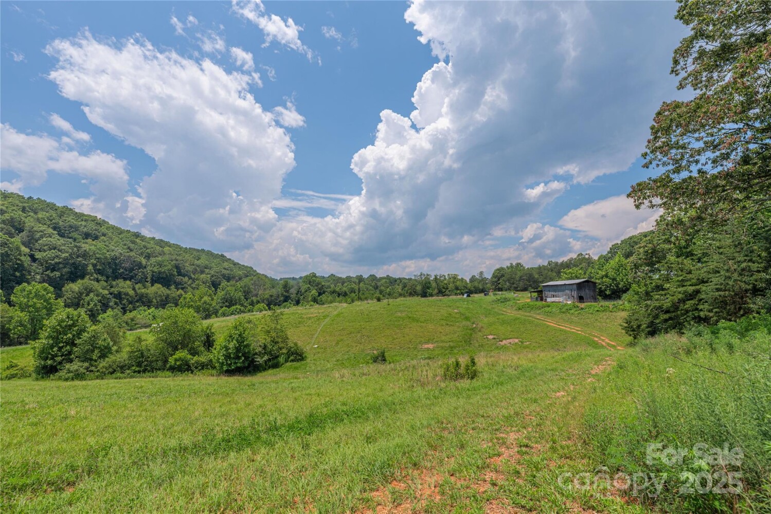 Land for Sale in McDowell County, NC (33 of 48)