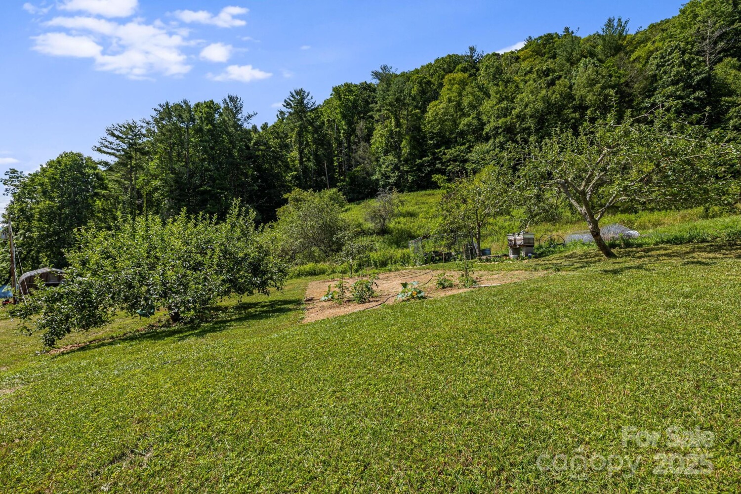 Land for Sale in Yancey County, NC (35 of 45)