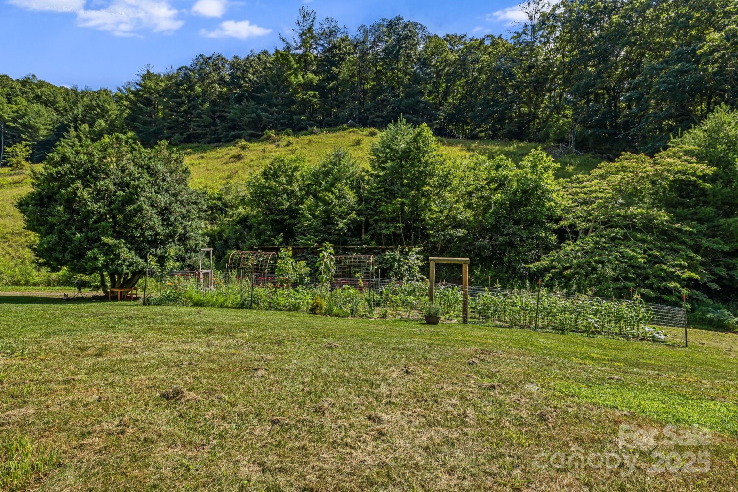 Land for Sale in Yancey County, NC (37 of 45)