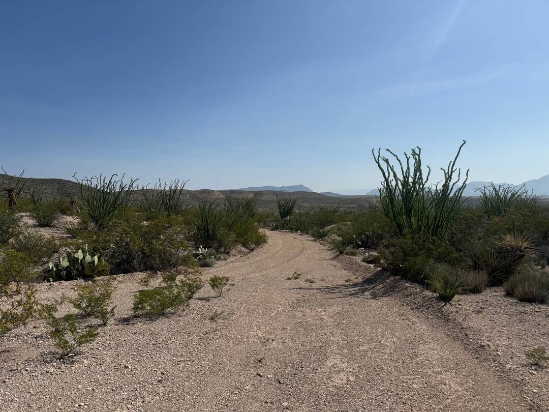 Land for Sale in Brewster County, TX (1 of 42)