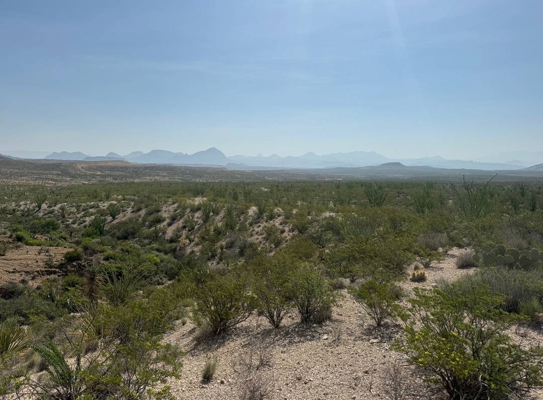 Land for Sale in Brewster County, TX (3 of 42)