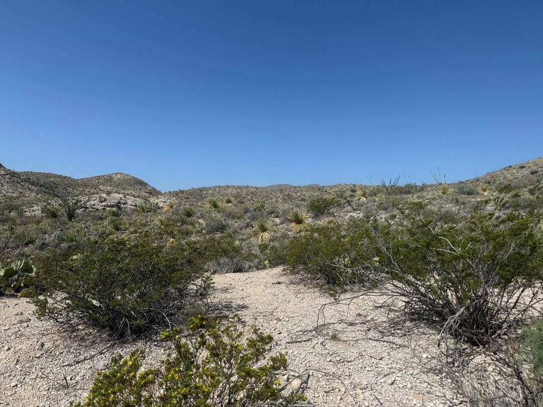 Land for Sale in Brewster County, TX (5 of 42)