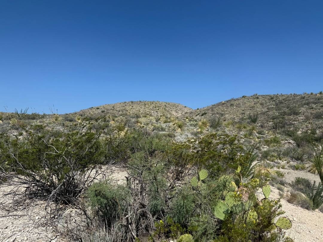 Land for Sale in Brewster County, TX (6 of 42)
