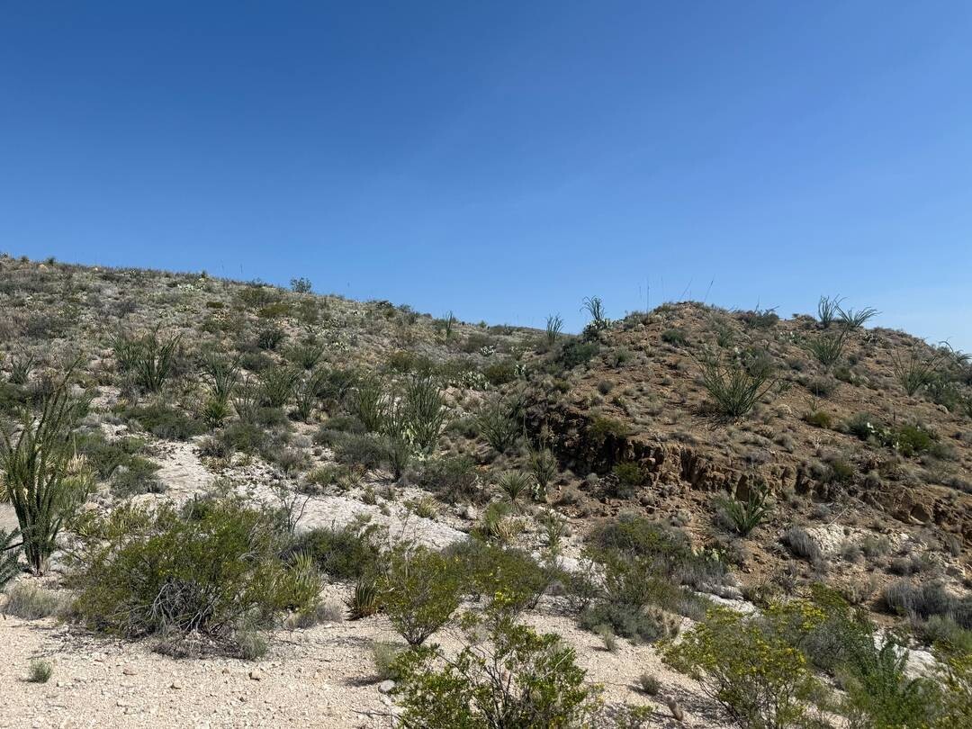 Land for Sale in Brewster County, TX (7 of 42)