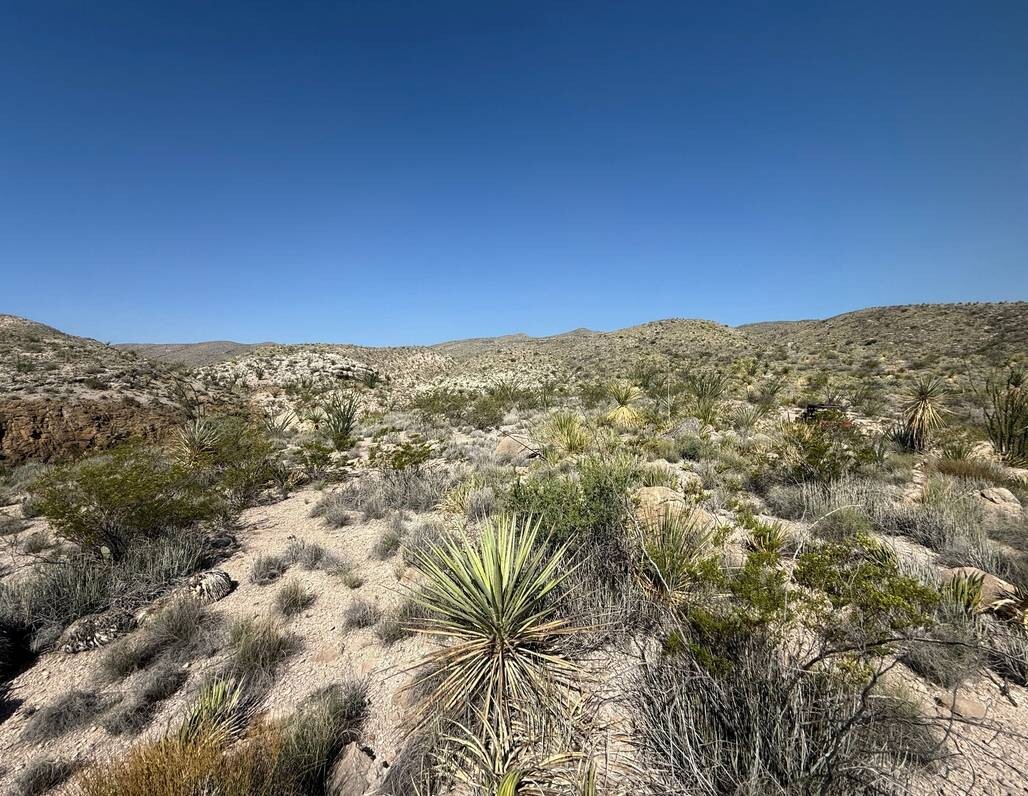 Land for Sale in Brewster County, TX (8 of 42)