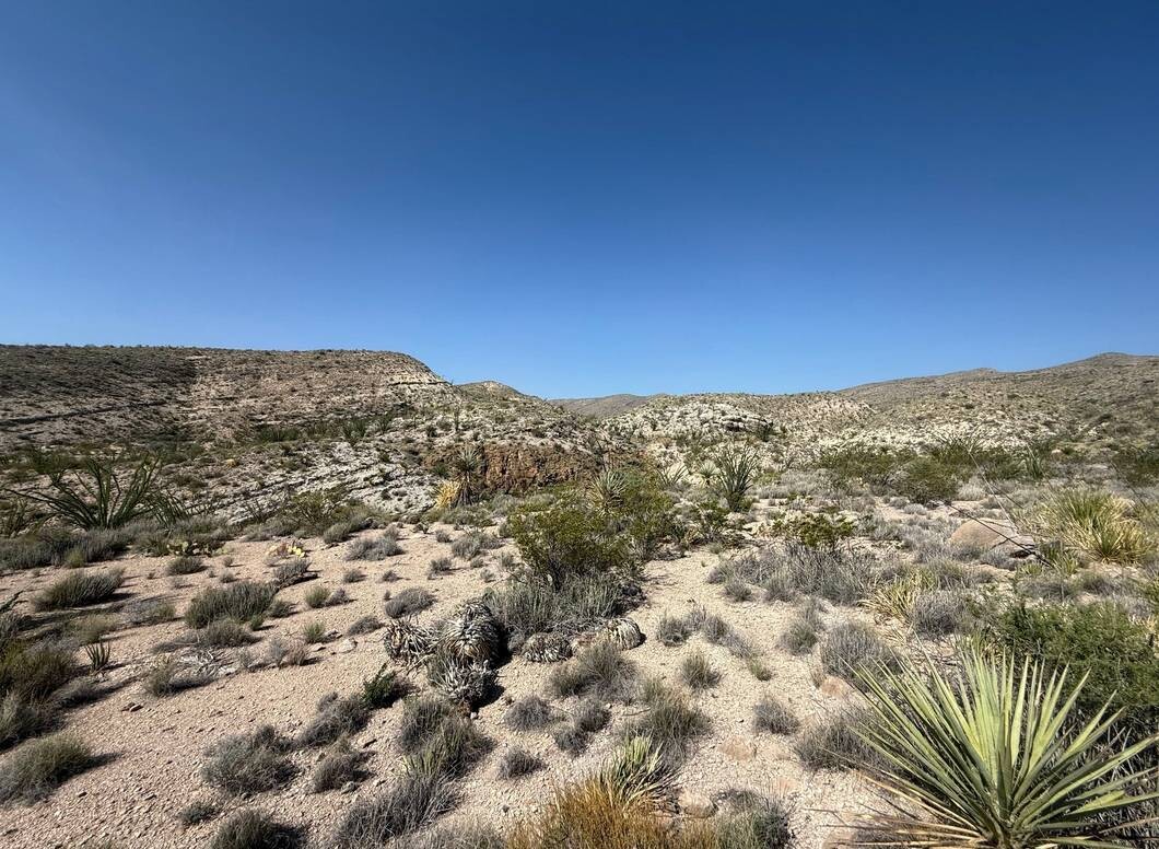 Land for Sale in Brewster County, TX (9 of 42)