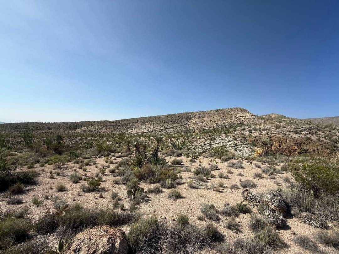 Land for Sale in Brewster County, TX (10 of 42)
