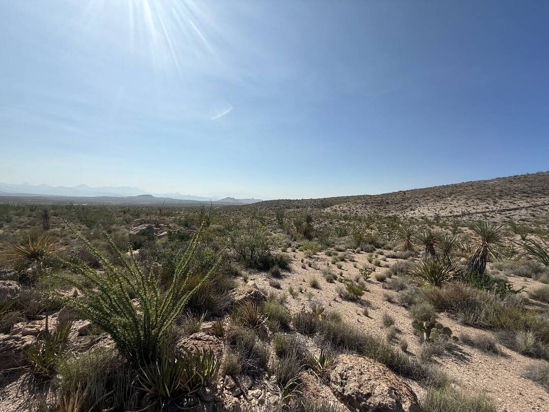 Land for Sale in Brewster County, TX (11 of 42)